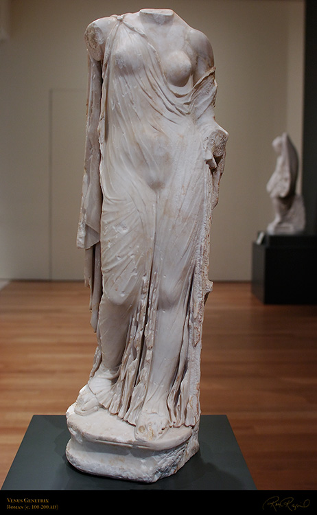 VenusGenetrix_1490VLG