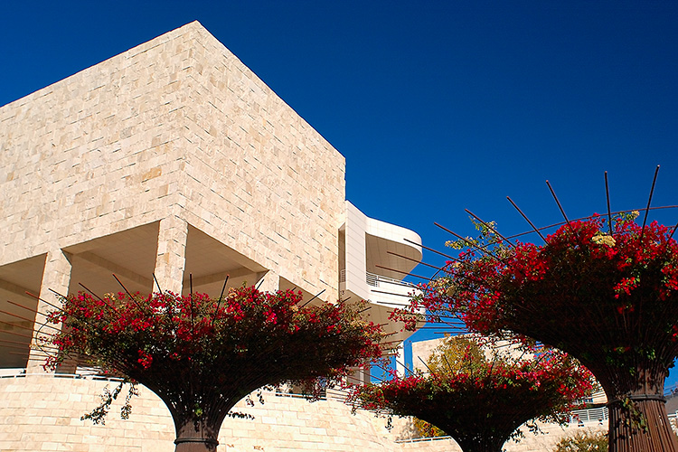 CentralGardenPlaza_Bougainvillea_GettyCenter_1766