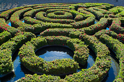 FloatingAzaleaMaze_GettyCenter_1768