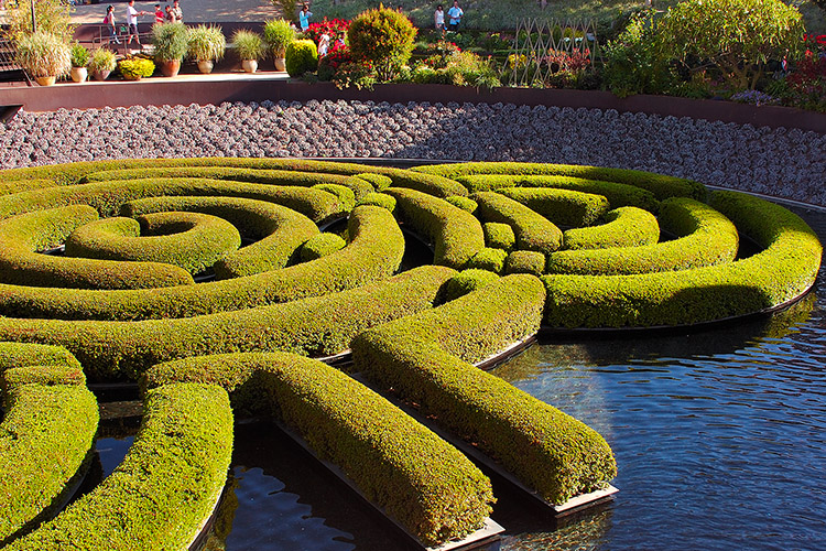 FloatingAzaleaMaze_GettyCenter_HS8876