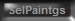 SelPaintgs