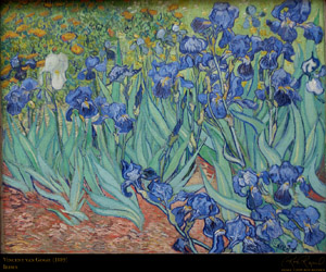 VanGogh_Irises_3106