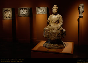 Sakyamuni_3168