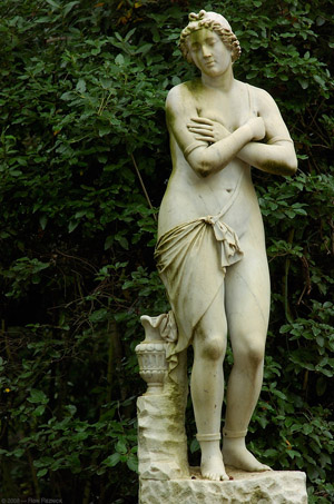 Andromeda_Boboli_5695