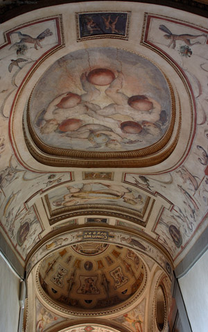 BarrelVault_StudioloHallway_5417