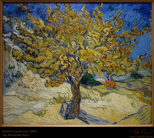 vGogh_MulberryTree_3385