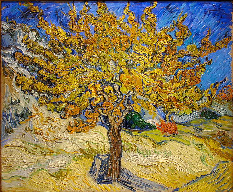 vanGogh_TheMulberryTree_3385