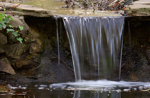 WoodlandWaterfall_0826