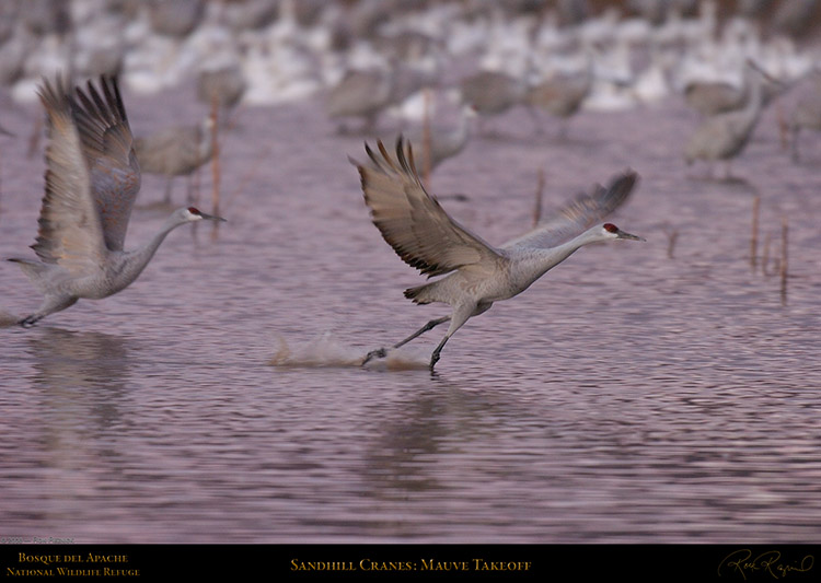 Mauve_Takeoff_3333s