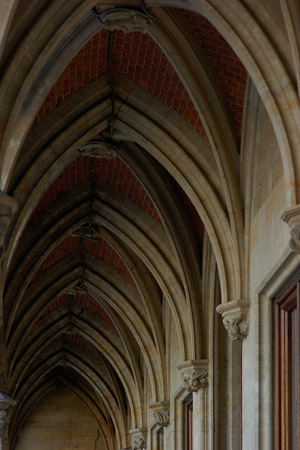 GothicArches_TownHall_3171