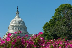 Capitol_5182