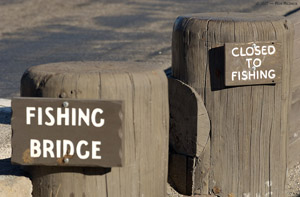 FishingBridge_1098