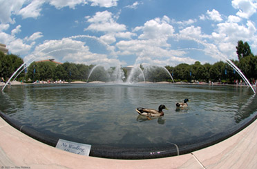 Fountain_WashingtonMall_5367