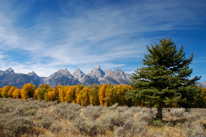 GrandTetons_1072