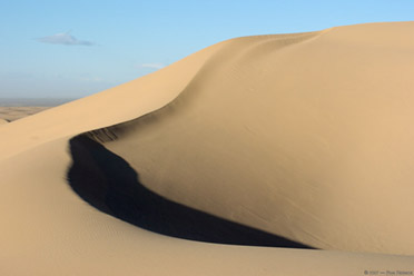 MojaveDune_1306