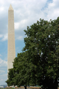 WashingtonMonument_5301