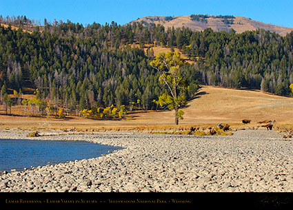 LamarRiverbank_LamarValley_0506