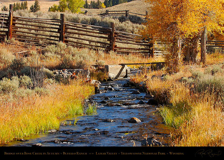 RoseCreek_LamarValley_0497