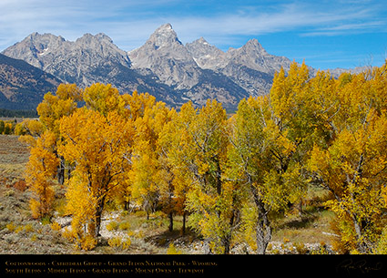 Cottonwoods_CathedralGroup_GrandTetons_1062