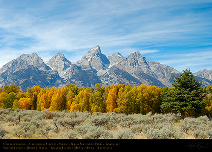 Cottonwoods_CathedralGroup_GrandTetons_1066