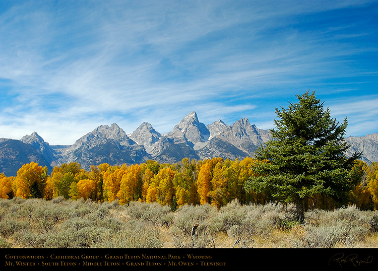 Cottonwoods_CathedralGroup_GrandTetons_1073