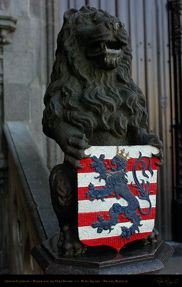 Lion_of_Flanders_2605
