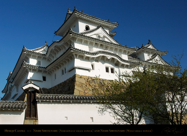 HimejiCastle_Inui_and_NishiShotenshu_0543