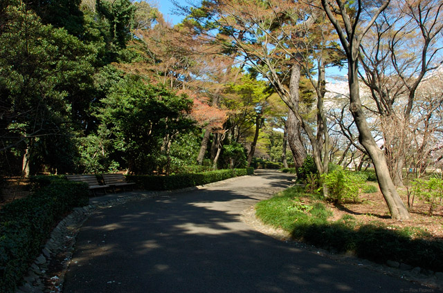 ImperialPalace_Matsunooroka_7380