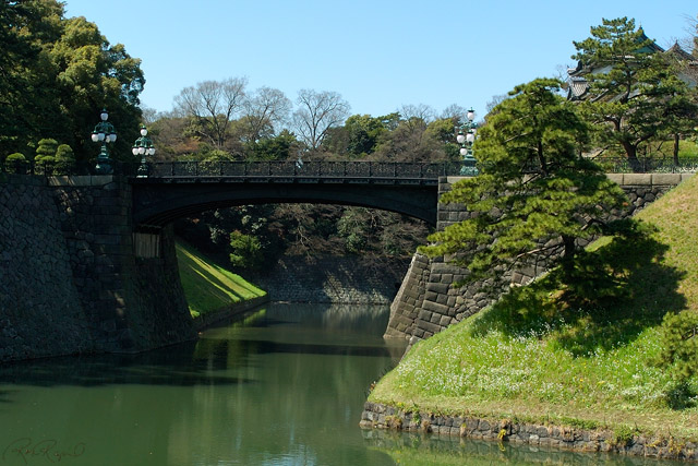 ImperialPalace_Tetsubashi_7408