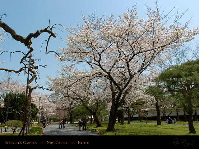 NijoCastle_Seiryu-en_Garden_9209