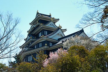 OkayamaCastle_0310