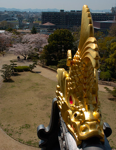 Okayama_Shachihoko_0338