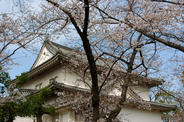 OsakaCastle_SenganYagura_8928