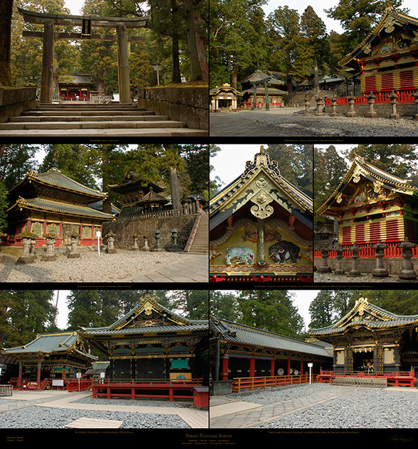 Nikko_Lower_Level_XXL_Ms