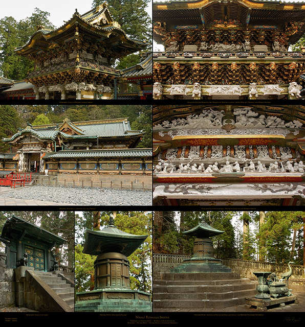 Nikko_Upper_Level_XXL_Ms