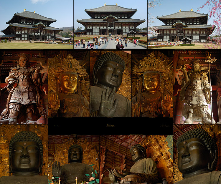 Todaiji_SXXL_M