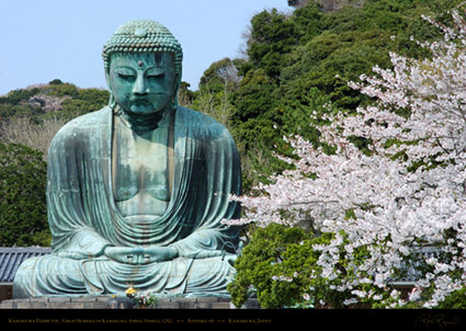 Kamakura_Daibutsu_0864