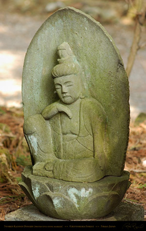 Nikko_Forest_Nyoirin_Kannon_Dosojin_8073