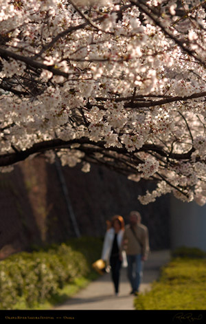 Okawa_River_Sakura_Festival_9111