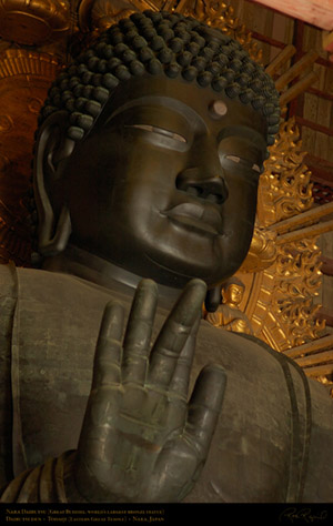 Todaiji_Daibutsu_9832