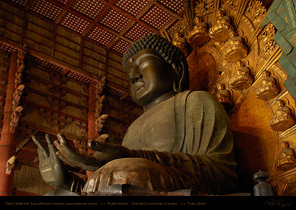 Todaiji_Daibutsu_9844