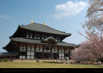 Todaiji_Daibutsuden_9817