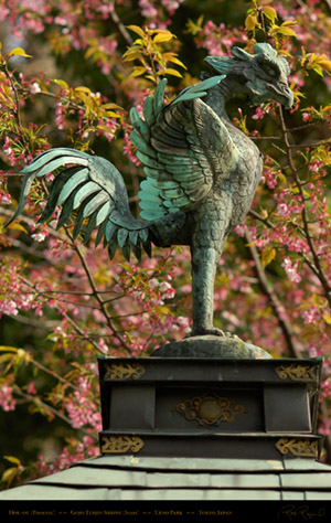 Ueno_Park_Phoenix_7490