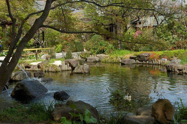 Hasedera_GardenPond_0718