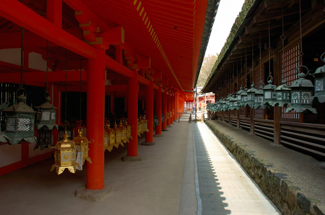 KasugaShrine_KairoLanterns_9888