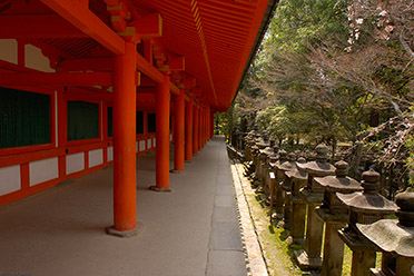 KasugaShrine_Kairo_9885