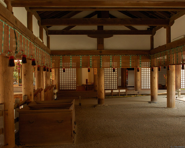 KasugaShrine_Kohi_9889