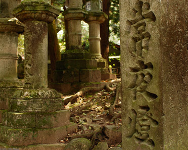 KasugaShrine_LanternForest_9902