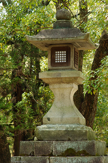 KasugaShrine_Lantern_9909