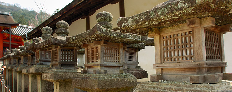 KasugaShrine_Lanterns_9884